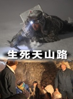 ntr什么缩写